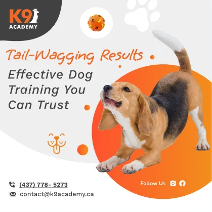 Tail-wagging results dog training post