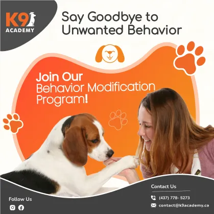 Say goodbye to unwanted behavior post